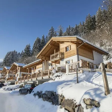 Schoeneben Waldblick Wald im Pinzgau
