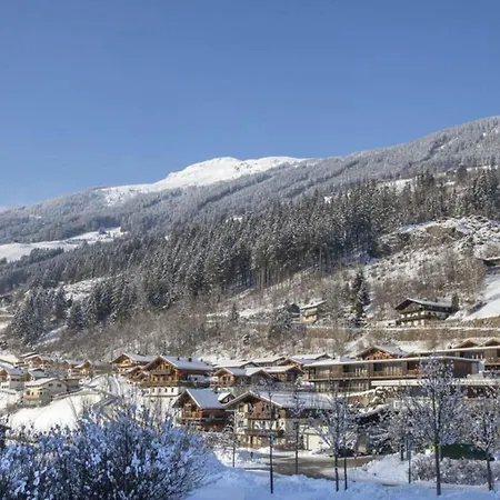 Schoeneben Waldblick Wald im Pinzgau